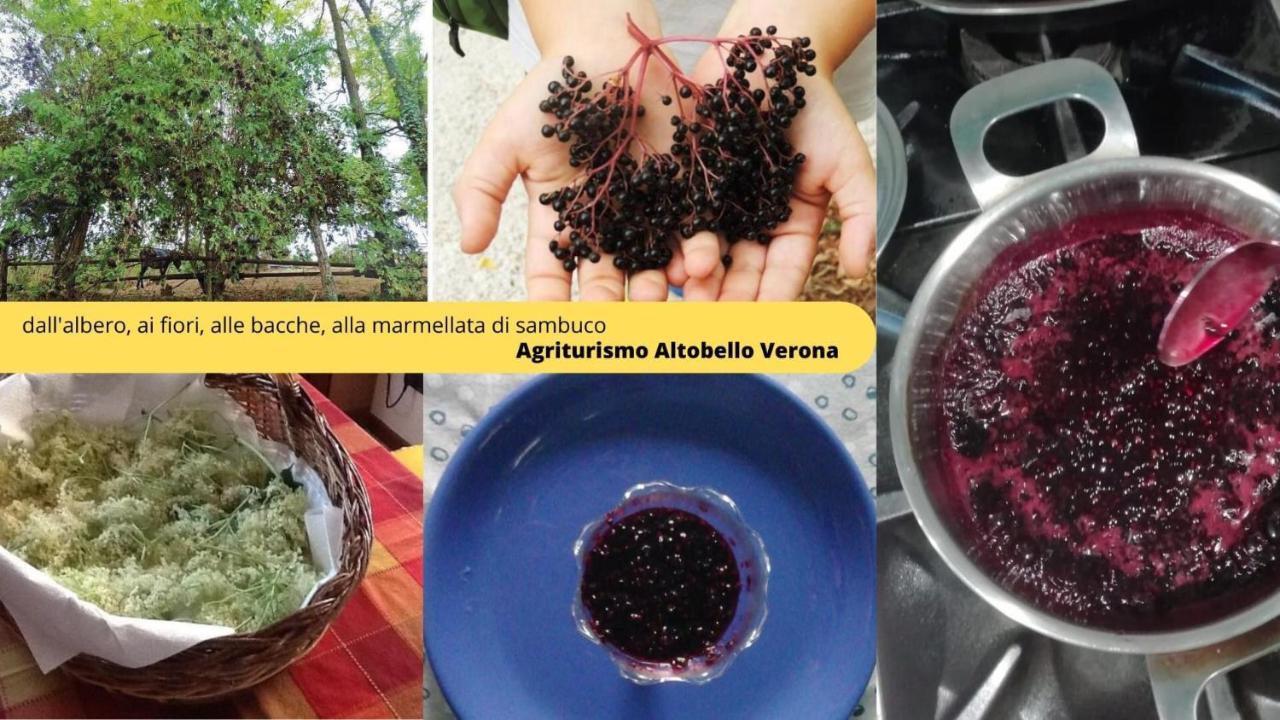Agriturismo Altobello Verona Kültér fotó