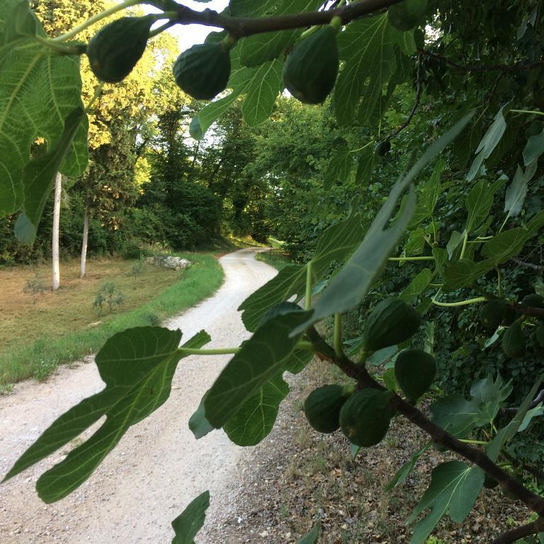 Agriturismo Altobello Verona Kültér fotó
