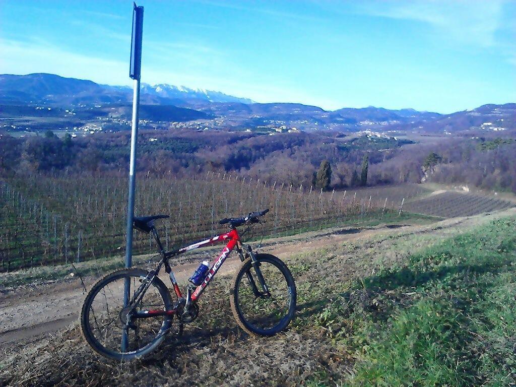 Agriturismo Altobello Verona Kültér fotó